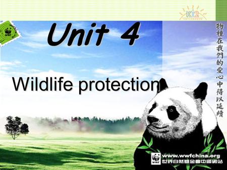 Unit 4 Wildlife protection panda elephant tiger.