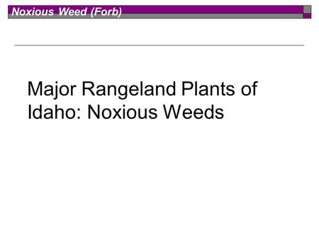 Noxious Weed (Forb) Major Rangeland Plants of Idaho: Noxious Weeds.