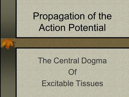 Propagation of the Action Potential The Central Dogma Of Excitable Tissues.
