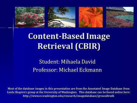 Content-Based Image Retrieval (CBIR) Student: Mihaela David Professor: Michael Eckmann Most of the database images in this presentation are from the Annotated.