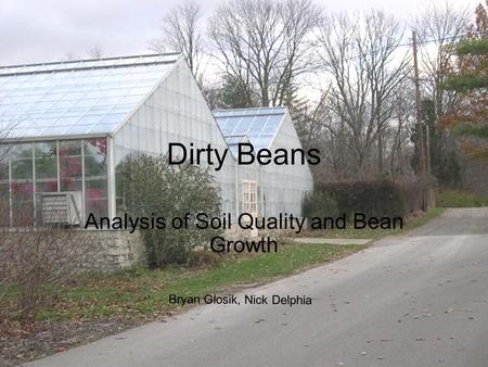 Dirty Beans Analysis of Soil Quality and Bean Growth Bryan Glosik, Nick Delphia.