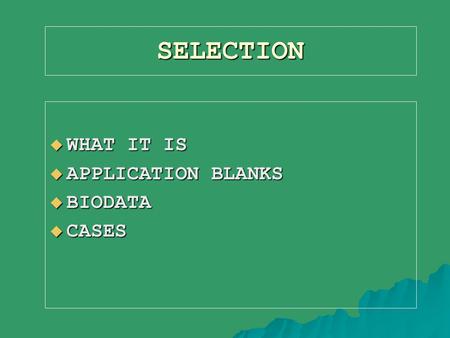 SELECTION  WHAT IT IS  APPLICATION BLANKS  BIODATA  CASES.