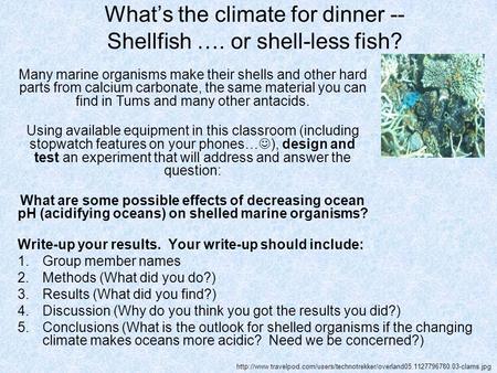 What’s the climate for dinner -- Shellfish …. or shell-less fish? Write-up your results. Your write-up should include: 1.Group member names 2.Methods (What.