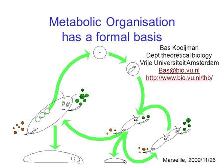 Metabolic Organisation has a formal basis Bas Kooijman Dept theoretical biology Vrije Universiteit Amsterdam