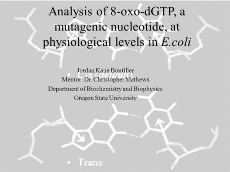 Analysis of 8-oxo-dGTP, a mutagenic nucleotide, at physiological levels in E.coli Jordan Kane Boutilier Mentor: Dr. Christopher Mathews Department of Biochemistry.