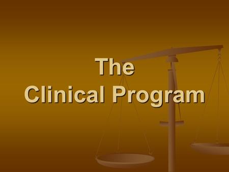 The Clinical Program. 7 CLINICS WITHIN THE CLINICAL PROGRAM Civil Justice Civil Justice Criminal Practice Criminal Practice Immigration Law and Policy.