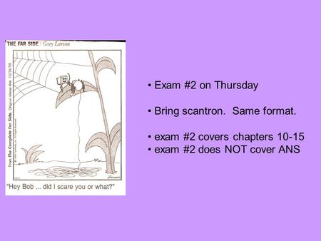 Exam #2 on Thursday Bring scantron. Same format. exam #2 covers chapters 10-15 exam #2 does NOT cover ANS.