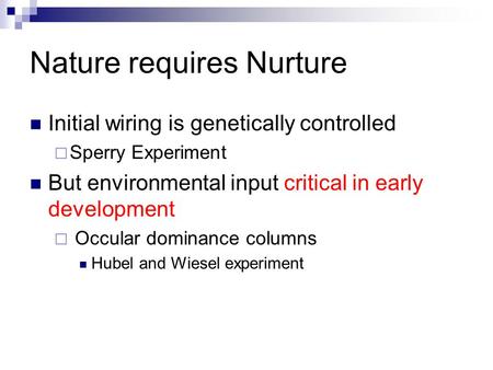 Nature requires Nurture Initial wiring is genetically controlled  Sperry Experiment But environmental input critical in early development  Occular dominance.