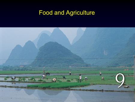Food and Agriculture.
