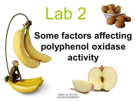 Some factors affecting polyphenol oxidase activity