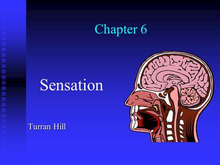Chapter 6 Sensation Turran Hill Sensation Sensation is the detection of simple properties of stimuli, such as brightness, warmth, and sweetness. Sensation.