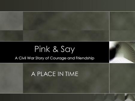 Pink & Say A Civil War Story of Courage and Friendship A PLACE IN TIME.