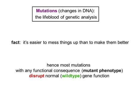 Mutations (changes in DNA): the lifeblood of genetic analysis hence most mutations with any functional consequence (mutant phenotype) disrupt normal (wildtype)