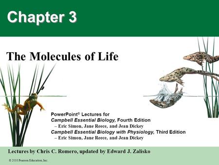 Chapter 3 The Molecules of Life.