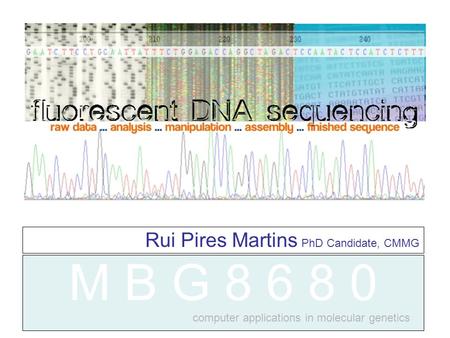 M B G 8 6 8 0 Rui Pires Martins PhD Candidate, CMMG computer applications in molecular genetics.