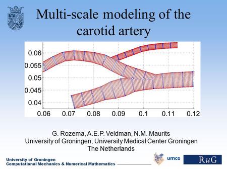 Computational Mechanics & Numerical Mathematics University of Groningen Multi-scale modeling of the carotid artery G. Rozema, A.E.P. Veldman, N.M. Maurits.
