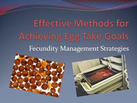 Fecundity Management Strategies. Why Talk About This? As managers, we utilize various methods in managing broodstock collection – we never want to be.