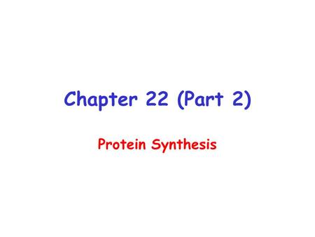 Chapter 22 (Part 2) Protein Synthesis. Ribosomes.