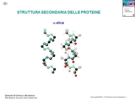 Elementi di Chimica e Biochimica Rita Roberti, Giovanni Alunni Bistocchi Copyright © 2007 – The McGraw-Hill Companies s.r.l. STRUTTURA SECONDARIA DELLE.