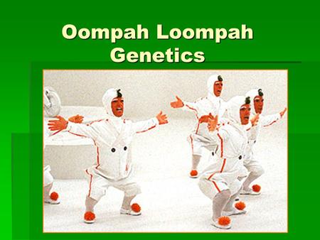 Oompah Loompah Genetics