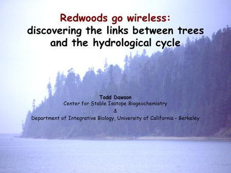 Redwoods go wireless: discovering the links between trees and the hydrological cycle Todd Dawson Center for Stable Isotope Biogeochemistry & Department.