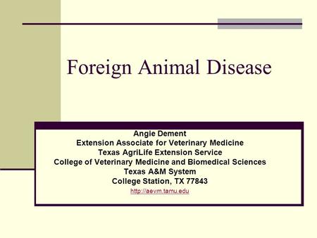 Foreign Animal Disease Angie Dement Extension Associate for Veterinary Medicine Texas AgriLife Extension Service College of Veterinary Medicine and Biomedical.