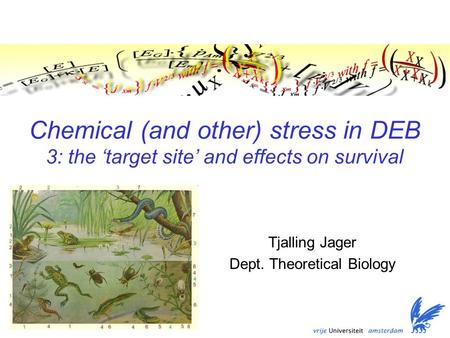 Chemical (and other) stress in DEB 3: the ‘target site’ and effects on survival Tjalling Jager Dept. Theoretical Biology TexPoint fonts used in EMF. Read.