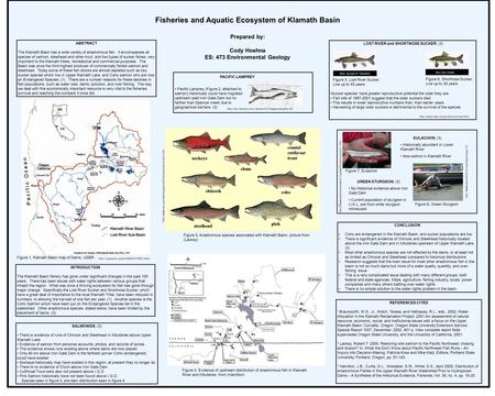 SALMONIDS, (3) There is evidence of runs of Chinook and Steelhead in tributaries above Upper Klamath Lake Evidence of salmon from personal accounts, photos,