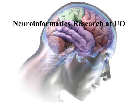 Neuroinformatics Research at UO. NeuroInformatics CenterFeb 2005BBMI: Brain, Biology, Machine Initiative Experimental Methodology and Tool Integration.