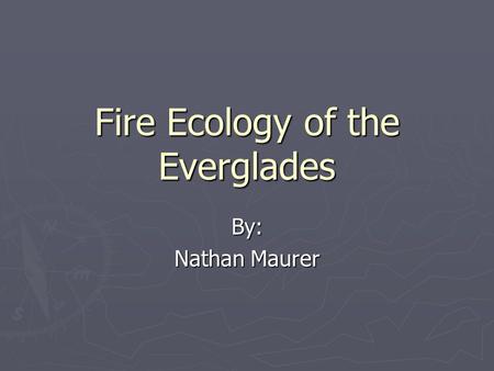 Fire Ecology of the Everglades By: Nathan Maurer.