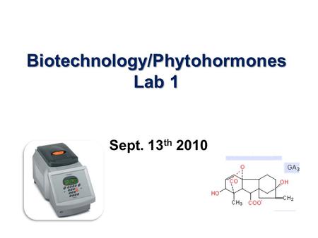 Biotechnology/Phytohormones Lab 1 Sept. 13 th 2010.