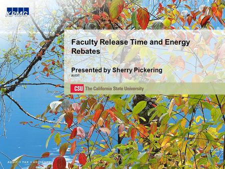 Faculty Release Time and Energy Rebates Presented by Sherry Pickering AUDIT.