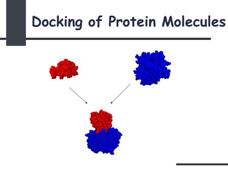 Docking of Protein Molecules