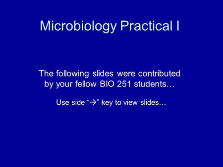 Microbiology Practical I The following slides were contributed by your fellow BIO 251 students… Use side “  ” key to view slides…