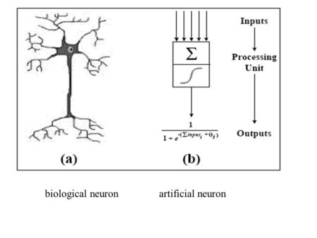 Biological neuron artificial neuron.