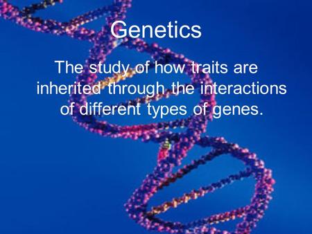 Genetics The study of how traits are inherited through the interactions of different types of genes.