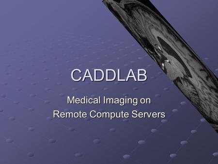 CADDLAB Medical Imaging on Remote Compute Servers.
