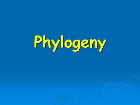 Phylogeny. Reconstructing a phylogeny  The phylogenetic tree (phylogeny) describes the evolutionary relationships between the studied data  The data.