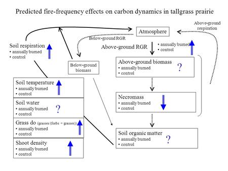 Atmosphere Above-ground biomass annually burned control Necromass annually burned control Soil organic matter annually burned control Grass do (grasses/(forbs.