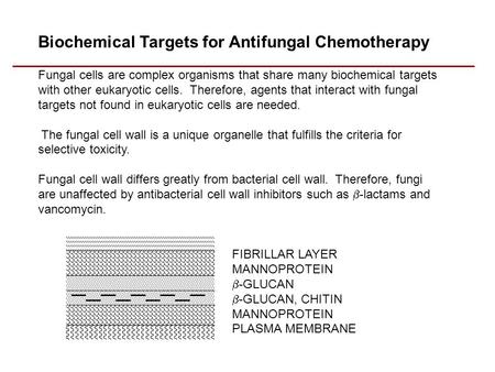 Biochemical Targets for Antifungal Chemotherapy