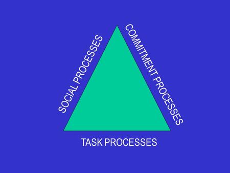 TASK PROCESSES SOCIAL PROCESSES COMMITMENT PROCESSES.