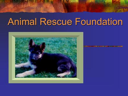 Animal Rescue Foundation. Animal Angels 2 Topics Of Discussion What do we do? Foundation history How can you help? Where are we located?