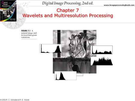 Digital Image Processing, 2nd ed. www.imageprocessingbook.com © 2002 R. C. Gonzalez & R. E. Woods Chapter 7 Wavelets and Multiresolution Processing Chapter.