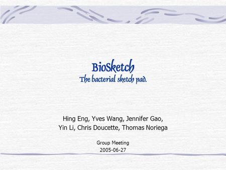 BioSketch The bacterial sketch pad. Hing Eng, Yves Wang, Jennifer Gao, Yin Li, Chris Doucette, Thomas Noriega Group Meeting 2005-06-27.