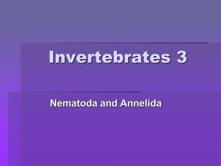 Invertebrates 3 Nematoda and Annelida. Phylum Nematoda: The roundworms.