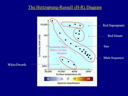 Main Sequence White Dwarfs Red Giants Red Supergiants Increasing Mass, Radius on Main Sequence The Hertzsprung-Russell (H-R) Diagram Sun.