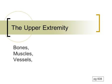 The Upper Extremity Bones, Muscles, Vessels, pg 608.