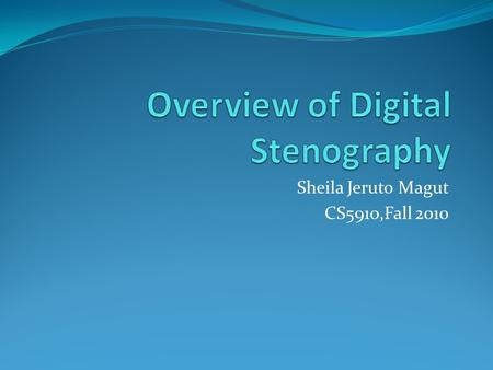 Overview of Digital Stenography