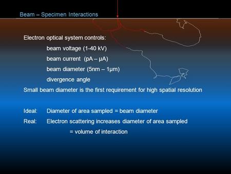 Beam – Specimen Interactions Electron optical system controls: beam voltage (1-40 kV) beam current (pA – μA) beam diameter (5nm – 1μm) divergence angle.