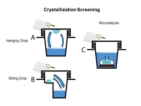 Hanging Drop Sitting Drop Microdialysis Crystallization Screening.